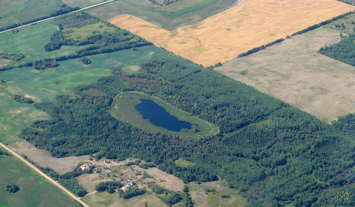 Forest_wetland_RGB