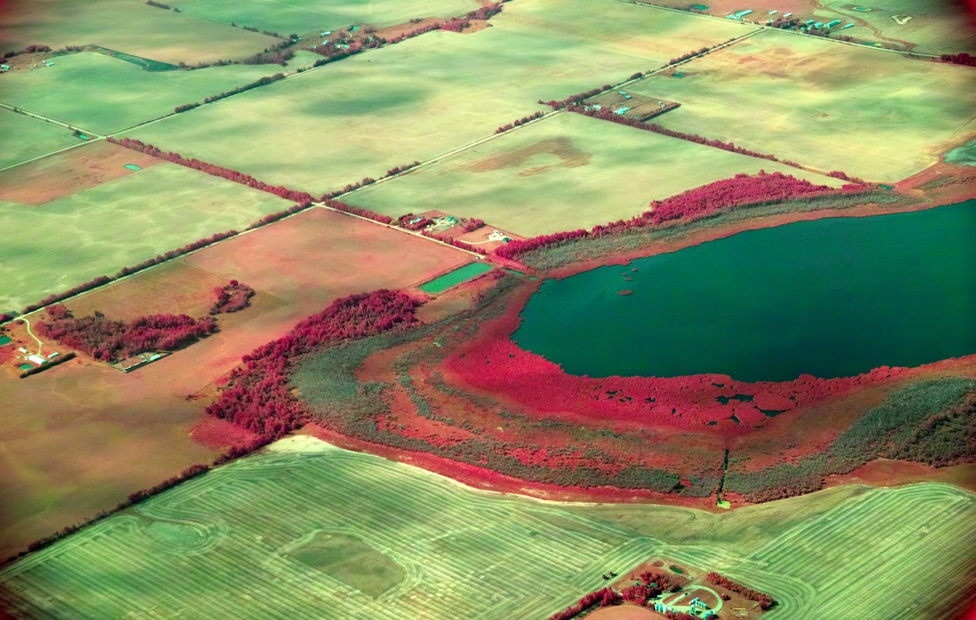Lake_Wetland_FoveonIR
