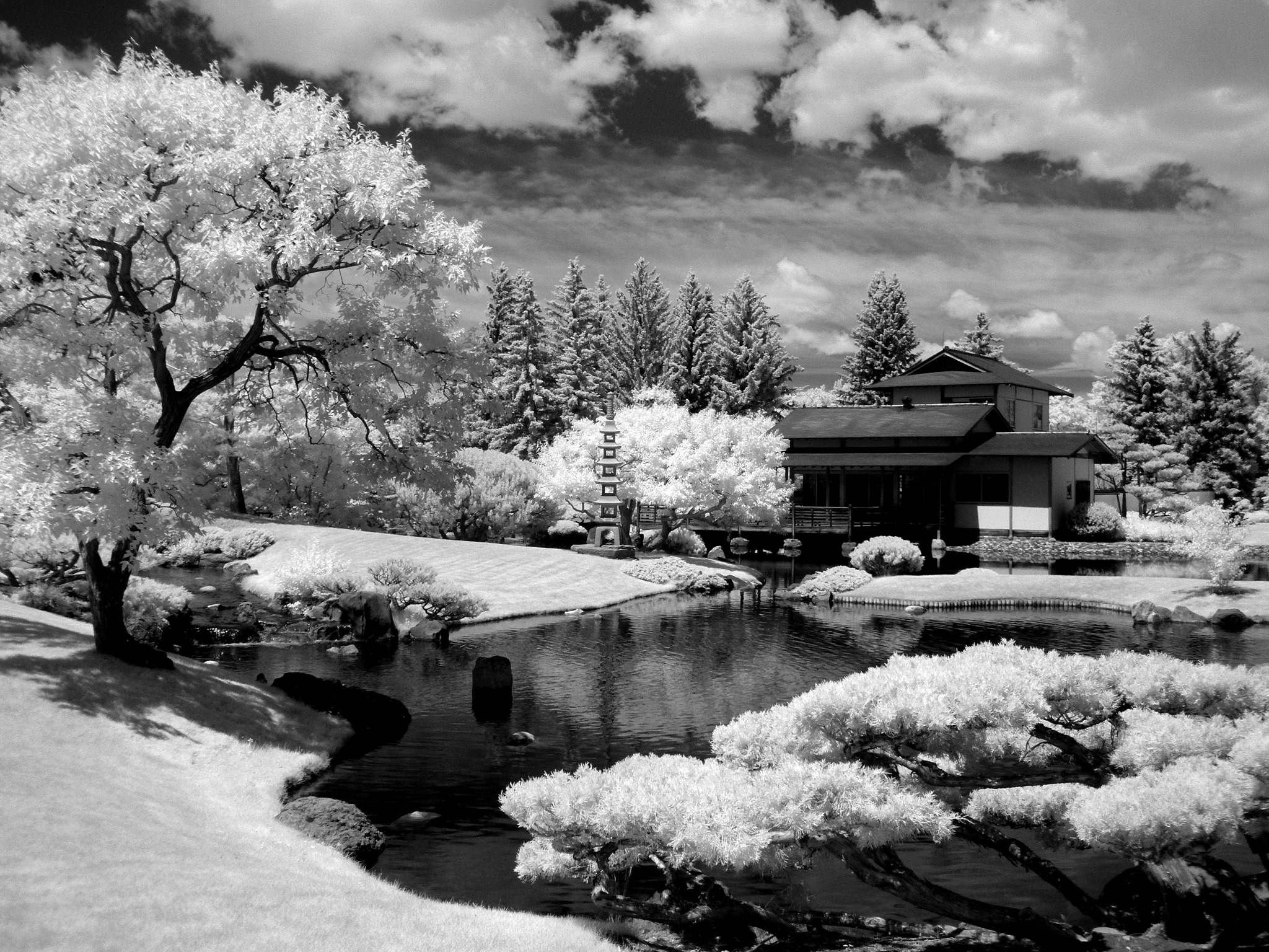 NikkaYuko_Lethbridge_BWIR