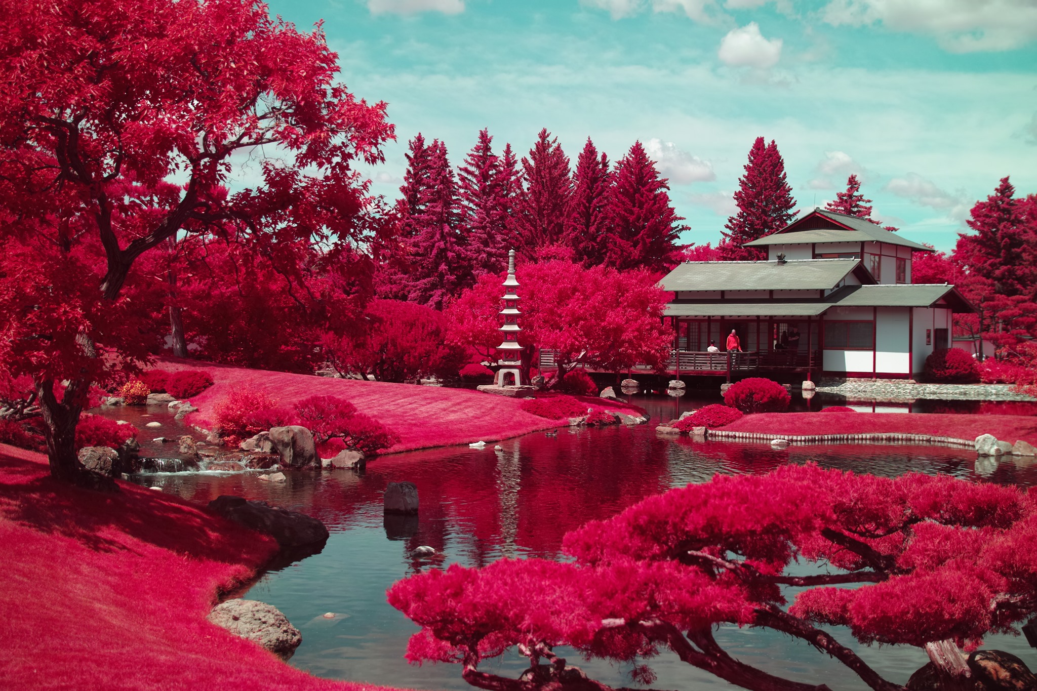 NikkaYuko_Lethbridge_FoveonIR