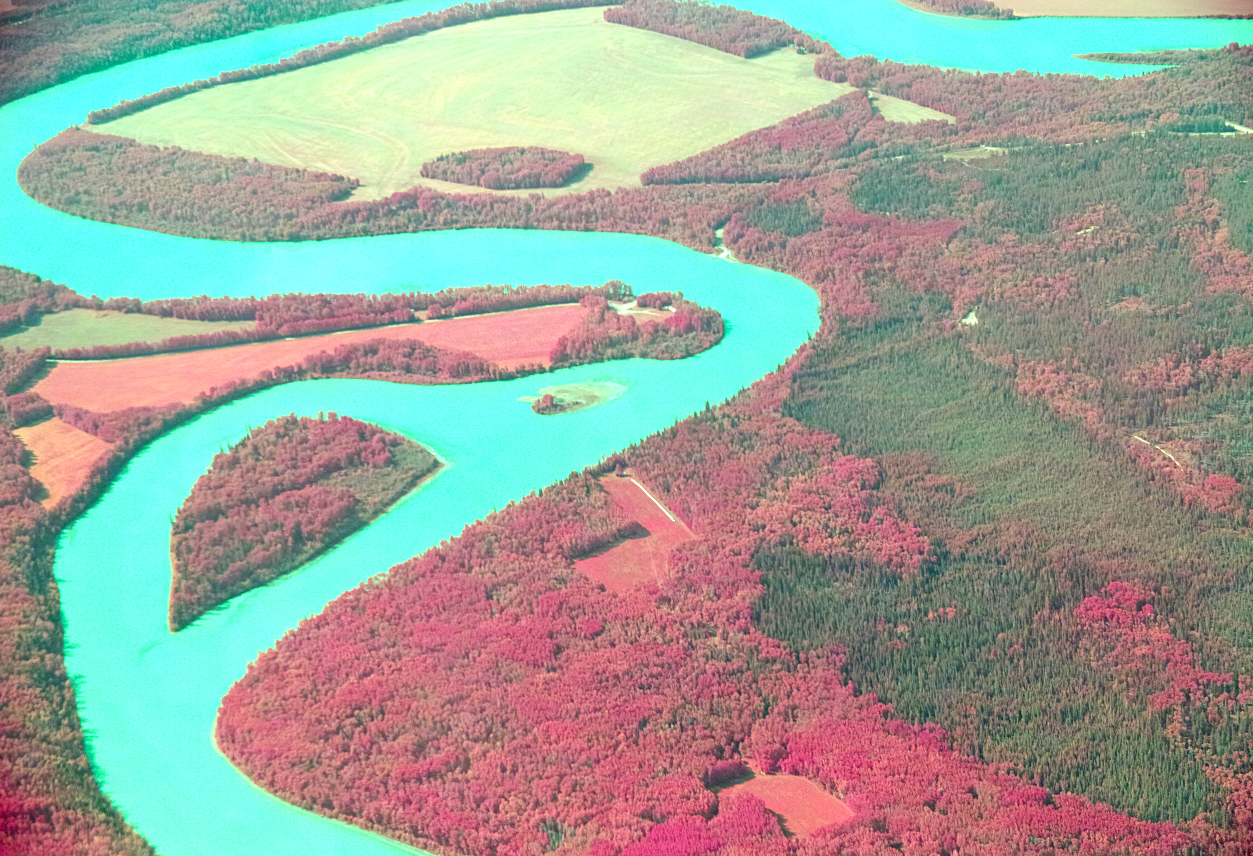 River_Forest_FoveonIR