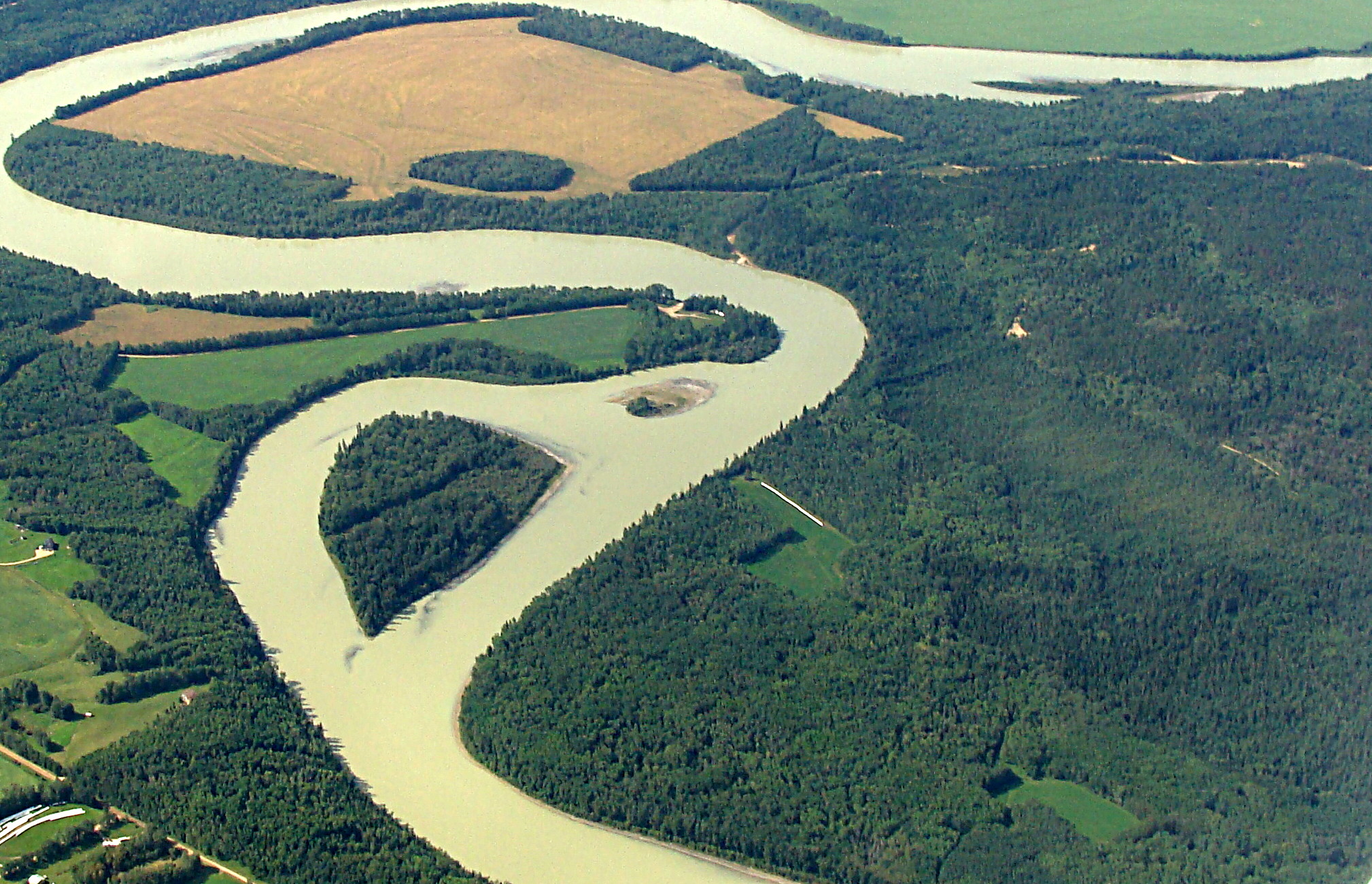 River_Forest_RGB