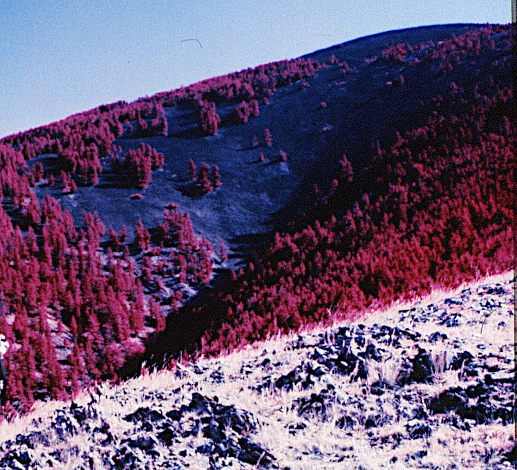 WESTBUTTE_CIRFilm2