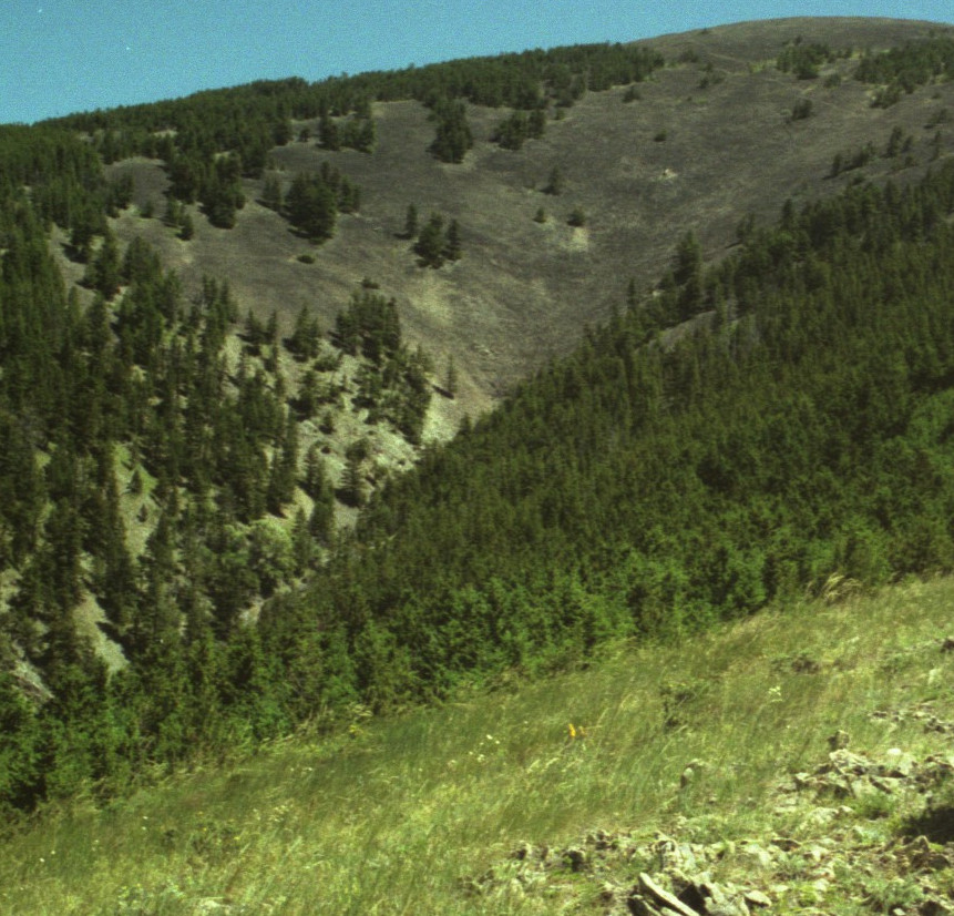WEST_BUTTE_RGB2